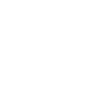 專業